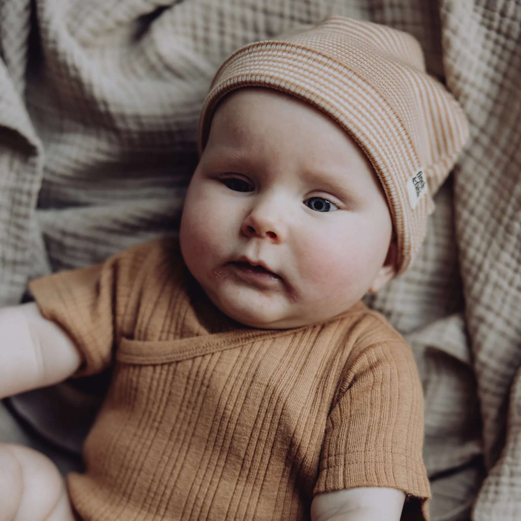 Wool Rib Baby Hat - Fawn Stripe